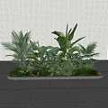 Lush Green Tropical Plants With Palm Leaves And Banana Foliage Against Textured Wall