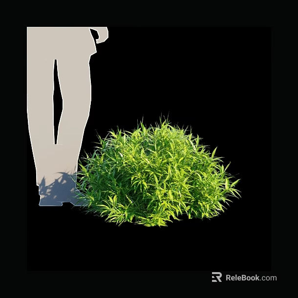 Lush Green Bamboo Plant Beside Human Silhouette On Black Background 3d model 