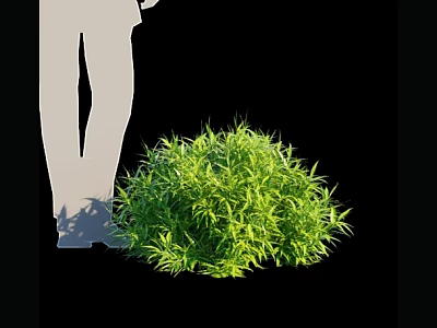 Lush Green Bamboo Plant Beside Human Silhouette On Black Background 3d model
