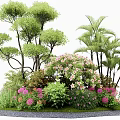 Vibrant Plant Combination With Tall Trees Palm Shrubs Flowering Bushes And Colorful Blooms