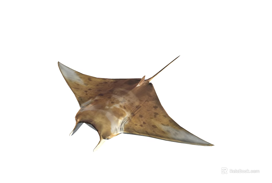 Brown Spotted Manta Ray With Flat Body Broad Fins And Graceful Swimming Posture 3d model 