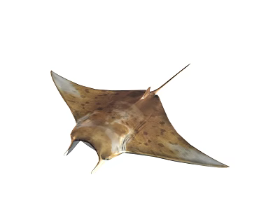 Brown Spotted Manta Ray With Flat Body Broad Fins And Graceful Swimming Posture 3d model
