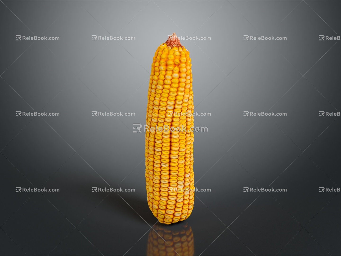 corn corn cartoon corn cartoon food food grain crops 3d model