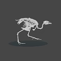 Detailed Bird Skeleton 3D Model with Anatomical Details and Standing Pose