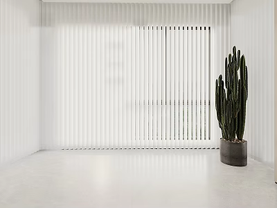 White Vertical Striped Curtains In Minimalist Interior With Cactus Plant And Light Walls 3d model