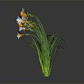Butterflies On White And Orange Flowers With Green Stems And Reflections