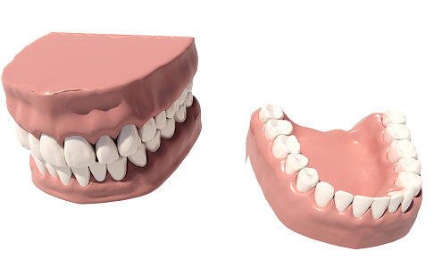 Modern Teeth Teaching Aware 3d model