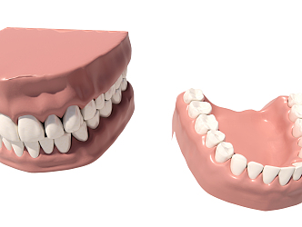 Modern Teeth Teaching Aware 3d model