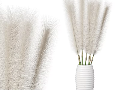 White Striped Vase with Fluffy White Pampas Grass for Home Decor 3d model