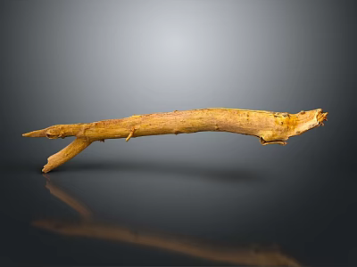 Natural Dry Tree Branch With Organic Texture On Dark Background Showing Reflection 3d model