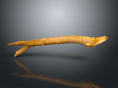 branch firewood branch withered branch withered branch 3d model branch firewood branch withered branch withered branch 3d model