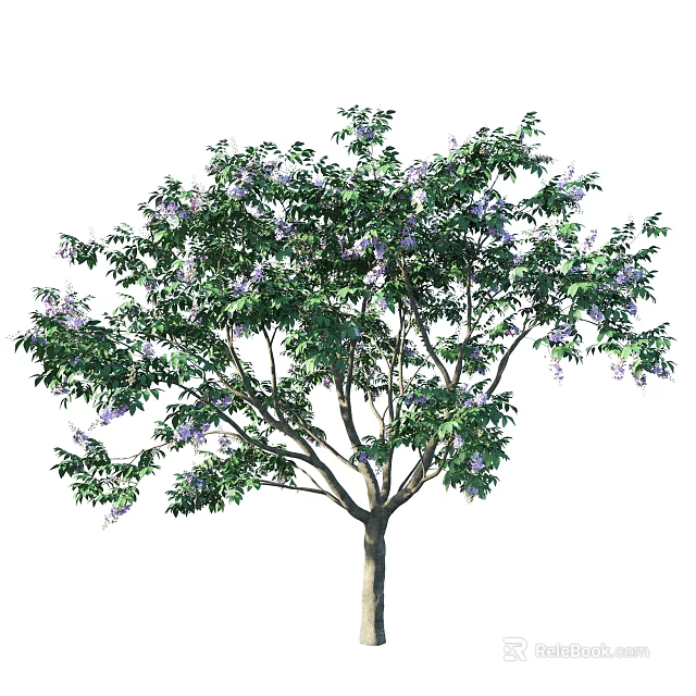 Vibrant Tall Tree With Lush Green Leaves And Purple Blossoms On Branches 3d model 