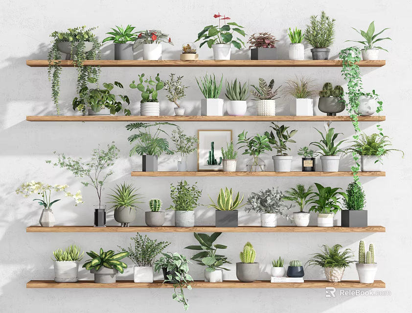 Multiple Bonsai Potted Plants on Multi Tiered Wooden Shelves with Various Greenery for Indoor Decor 3d model 
