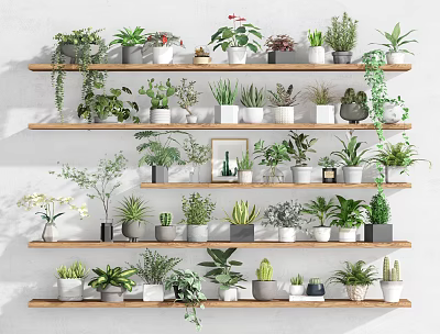 Multiple Bonsai Potted Plants on Multi Tiered Wooden Shelves with Various Greenery for Indoor Decor 3d model