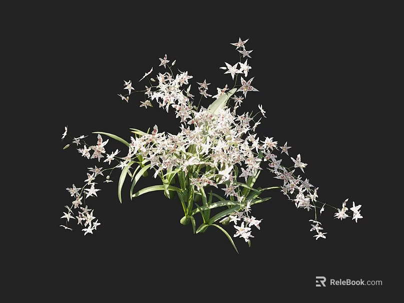 Beautiful White Star Shaped Flowers With Green Leaves Elegant Bouquet 3d model 