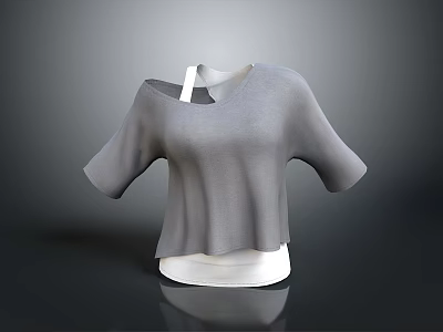 Gray Off Shoulder Short Sleeve Top For Daily Casual Wear 3d model