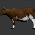 Detailed Brown And White Cow Figurine With Shiny Surface And Reflection