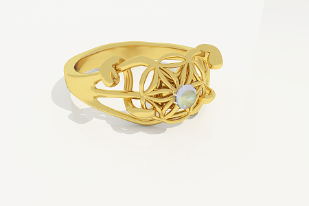 The Modern Ring 3d model