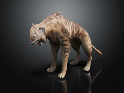 Realistic 3D Model Of Striped Prehistoric Big Cat Standing With Open Mouth 3d model