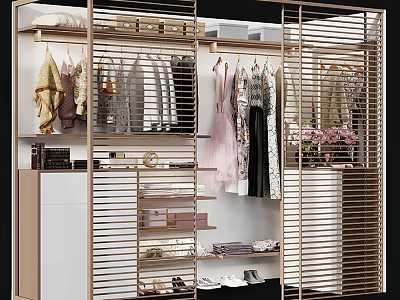 Modern Wardrobe Interior Design With Golden Frame Hanging Clothes Shelves And Shoes 3d model