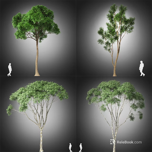 Different Arbor Tree Varieties With Lush Foliage And Various Crown Shapes 3d model 