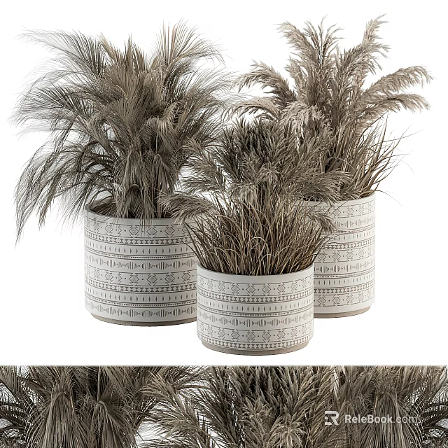 Potted Bonsai Plants with Geometric Pattern Pots and Feathery Grass Decorative Greenery 3d model 