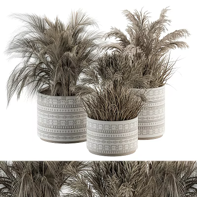 Modern Potted Plant Dried Flower Potted Plant Dried Flower Art Potted Plant 3d model