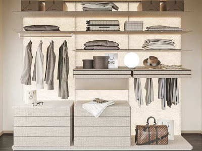 Modern Wardrobe Interior Design With Hanging Clothes Folded Garments Drawers And Accessories 3d model