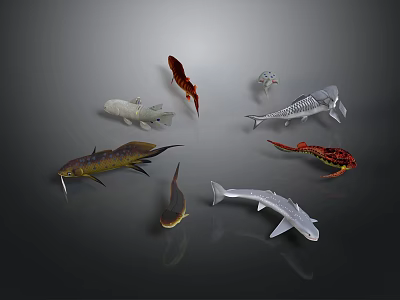 Various Fish Species in Different Colors Arranged in Circle on Dark Background 3d model