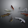 Various Fish Species in Different Colors Arranged in Circle on Dark Background