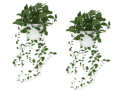 Hanging Potted Plants With Lush Green Leaves And Trailing Vines In White Pots 3d model