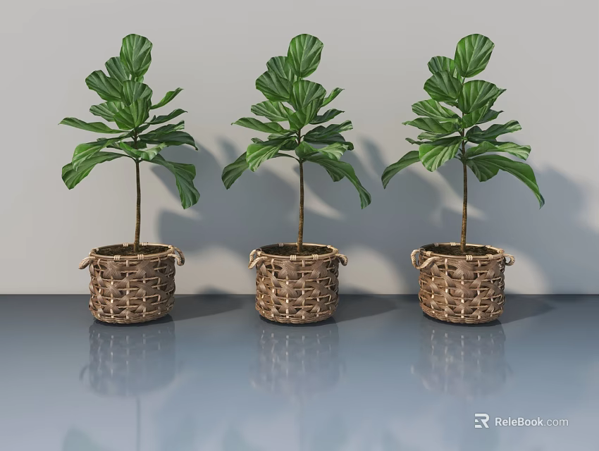 Gray Pet Cabinet With Three Woven Baskets Holding Green Plants And Reflective Surface 3d model 