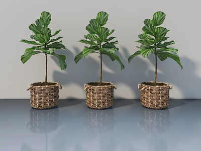 Gray Pet Cabinet With Three Woven Baskets Holding Green Plants And Reflective Surface 3d model