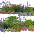 Colorful Garden Plant Combinations With Purple Red Pink Flowers And Green Shrubs