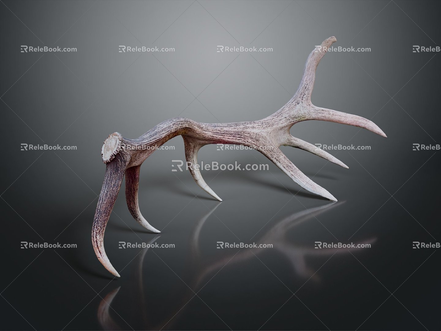 Modern antler antler head elk elk horn 3d model