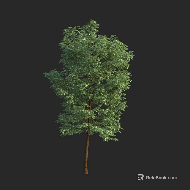 Lush Green Arbor With Dense Foliage And Brown Trunk Against Black Background 3d model 