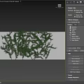Lush Green Vine Garden Decor Growing On Wall With Natural Branch Pattern And Fresh Leaves
