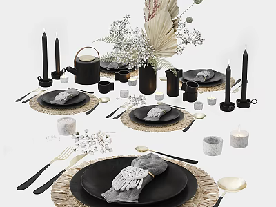 Modern Black Dinnerware Set With Woven Placemats Cutlery Dried Flowers Vase And Candles 3d model