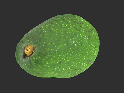 Fresh Green Avocado with Speckled Skin and Brown Stem Healthy Fruit 3d model