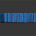 Anatomical Blue 3D Organ Structure Model with Hair Follicles and Red Dots