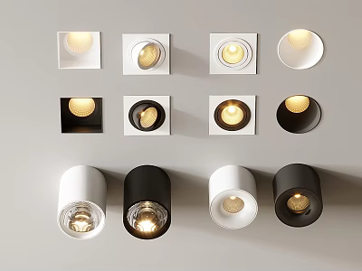 Modern Downlights And Spotlights With White Black Finish And Various Design Styles For Interior 3d model