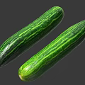 Two Fresh Green Striped Cucumbers Healthy Vegetables for Daily Salads