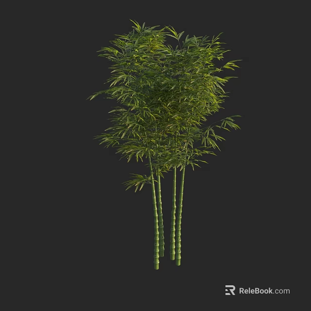 Three Bamboo Plants With Green Leaves And Tall Stalks On Black Background 3d model 