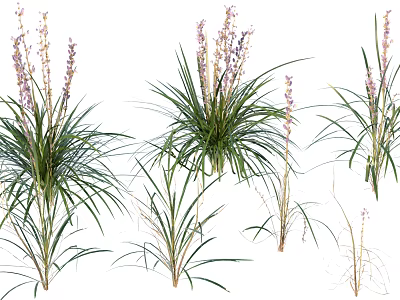 Beautiful Various Green Grass And Purple Flowers With Long Leaves And Different Heights 3d model