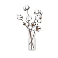 Beautiful Cotton Bouquet In Glass Vase Against Blue Sky With White Clouds