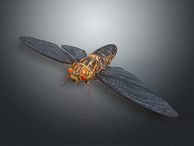 Modern Bee Ma Feng Wasp 3d model