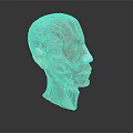 3D Human Head and Neck Muscle Anatomical Model With Red White Texture on Dark Background