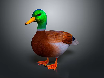 Realistic Duck With Green Head Yellow Beak Brown Body And Orange Feet 3d model