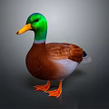 Realistic Duck With Green Head Yellow Beak Brown Body And Orange Feet