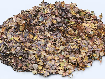 Autumn Yard Natural Pile of Fallen Leaves with Various Colors 3d model